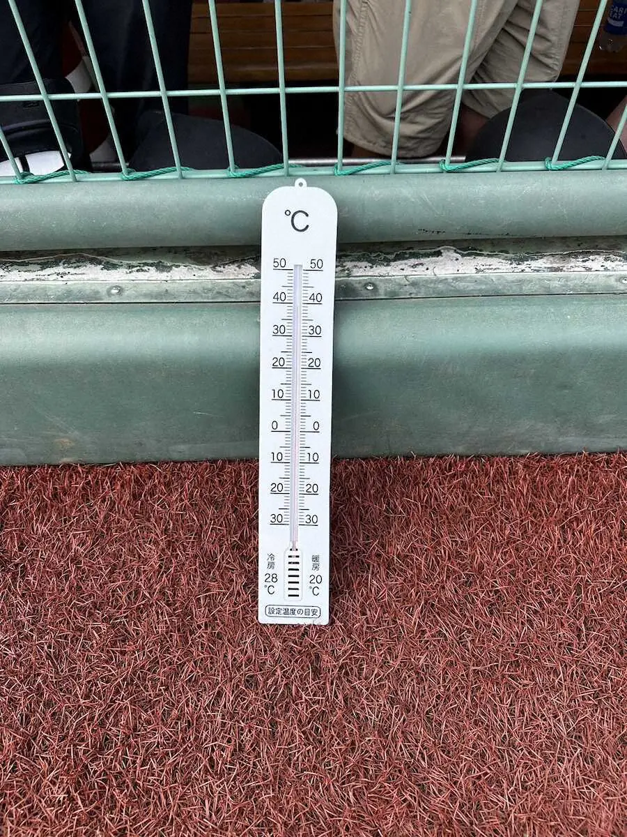 【画像・写真】【隠しマイク】巨人・湯浅　ベンチ前の気温計が40度超なのを見て「やば…」