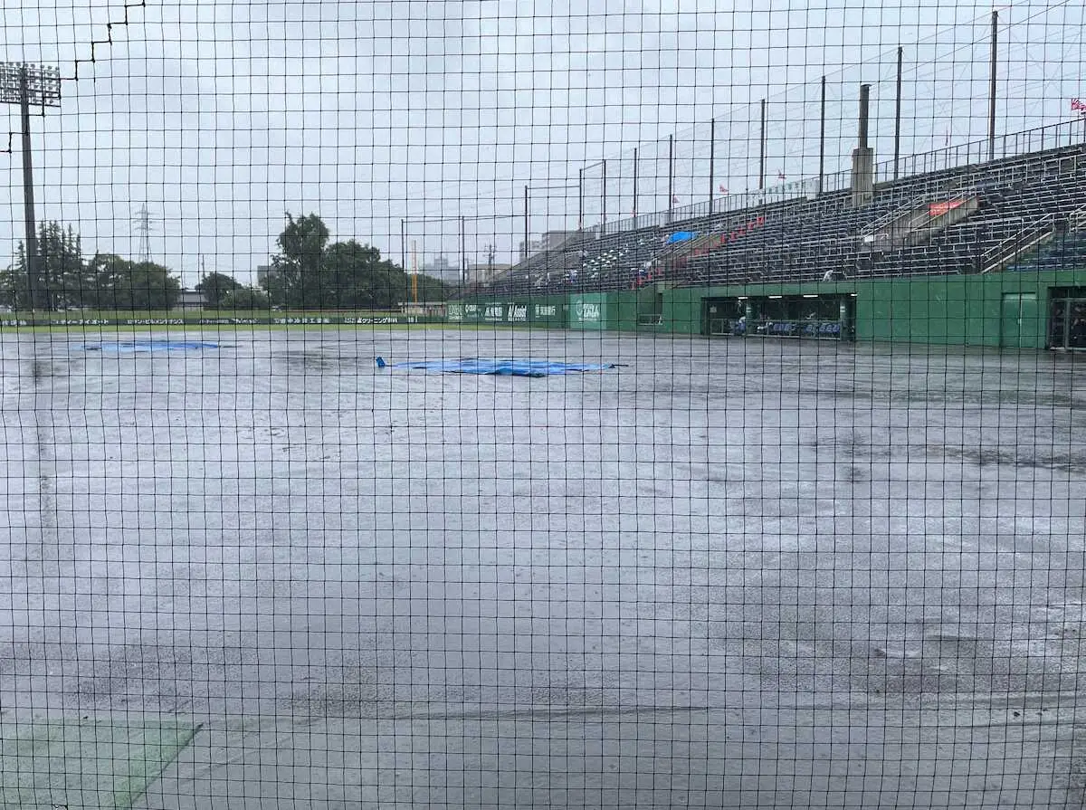 【画像・写真】つくば秀英―江戸川学園取手は継続試合　5回表終了で3―0とつくば秀英リード　2投手で完全継続