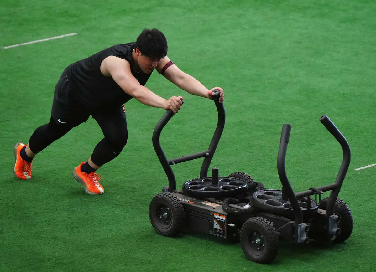 【画像・写真】巨人・岡本　左肘を使うトレーニングで大粒の汗　「早く戻れるように」