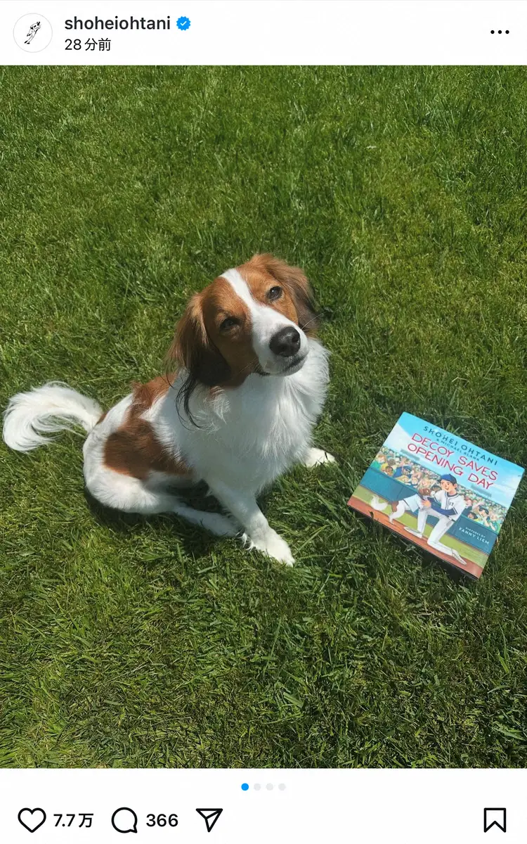 【画像・写真】来年2月　ドジャース・大谷の愛犬・デコピン絵本販売！「デコイが開幕戦を救う」