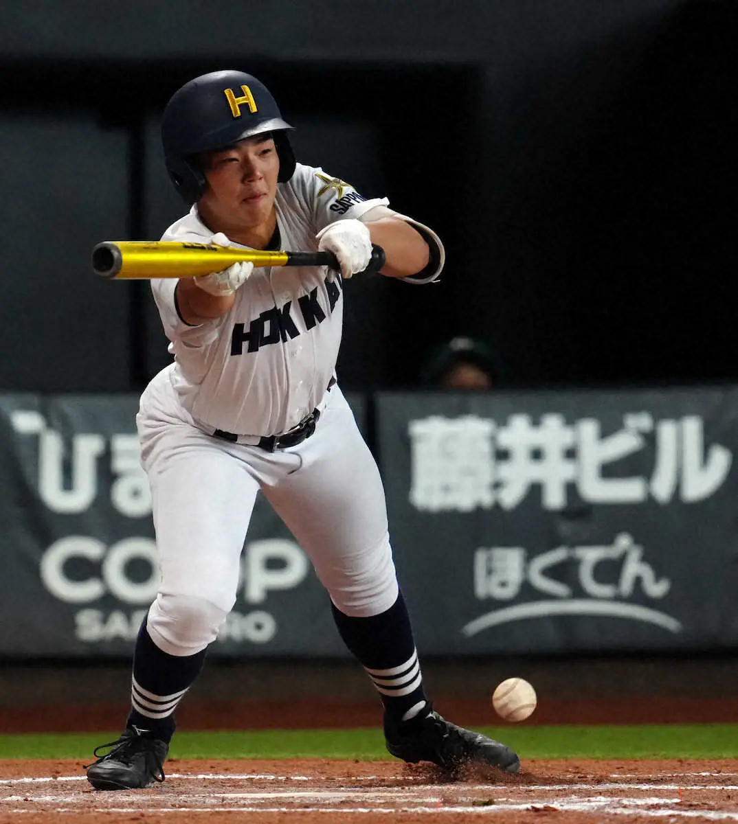 【画像・写真】＜駒大苫小牧・北海＞2回、スクイズを決める北海・佐藤（撮影・高橋　茂夫）