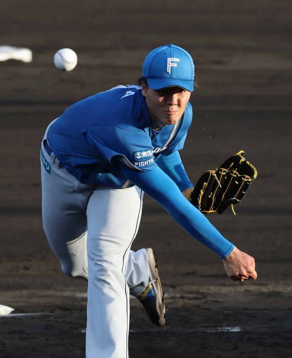 【画像・写真】日本ハム・柴田