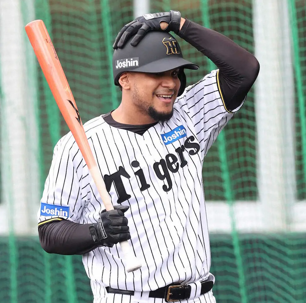 【画像・写真】阪神・ヘルナンデスが1軍試合前練習に合流　29日の2軍戦では初回に3ラン