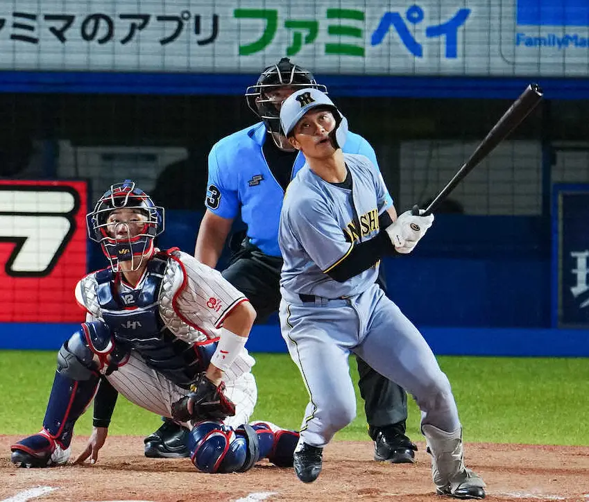 【画像・写真】＜ヤ・神（14）＞6回、適時打を放つ坂本（撮影・会津　智海）