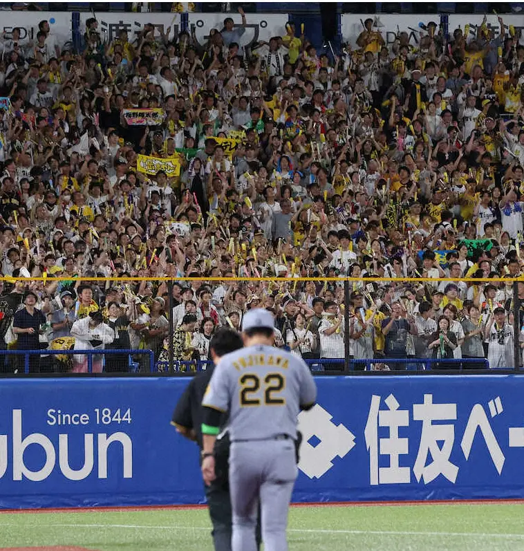 【画像・写真】藤川監督に大歓声を送る阪神ファン（撮影・大森　寛明）