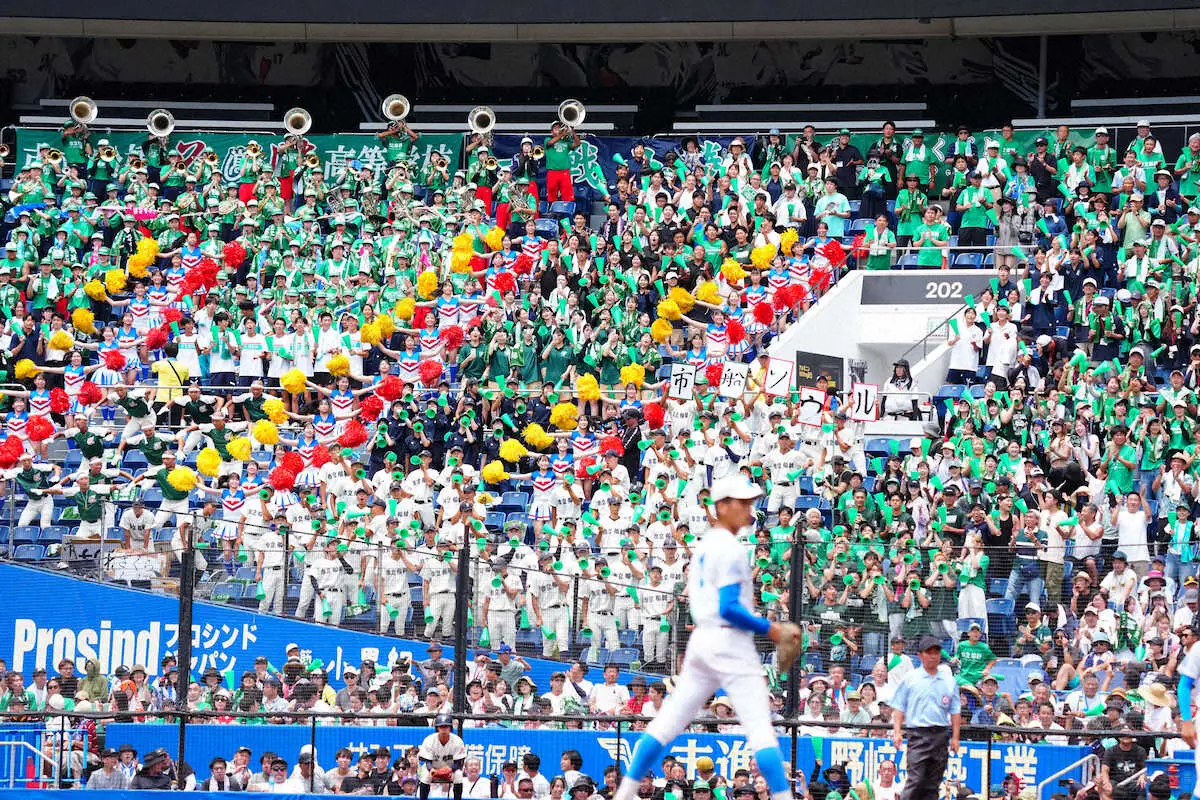 【画像・写真】市船橋　渾身の「市船ソウル」が聞ける！西日本短大付の新曲も…今大会注目の応援曲