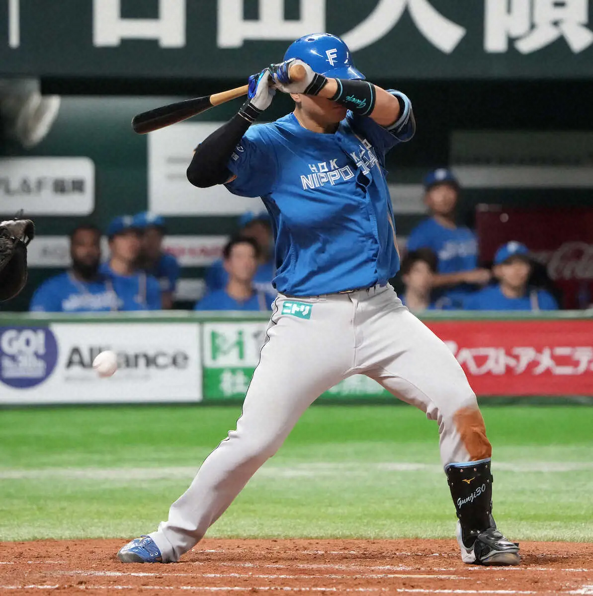 【画像・写真】新庄日本ハムにアクシデント続発…郡司裕也が右肘に死球受ける　直前には伊藤大海に打球直撃