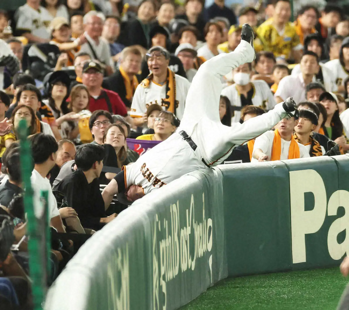 【画像・写真】リチャードのハッスルプレーに巨人ベンチヒヤリ　エキサイトシートに頭から真っ逆さまに落下