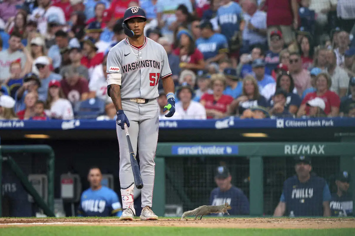 【画像・写真】MLB各地で可愛い“珍客”登場で試合一時中断　ヤンキース・フリードはマウンド付近でじっと観察