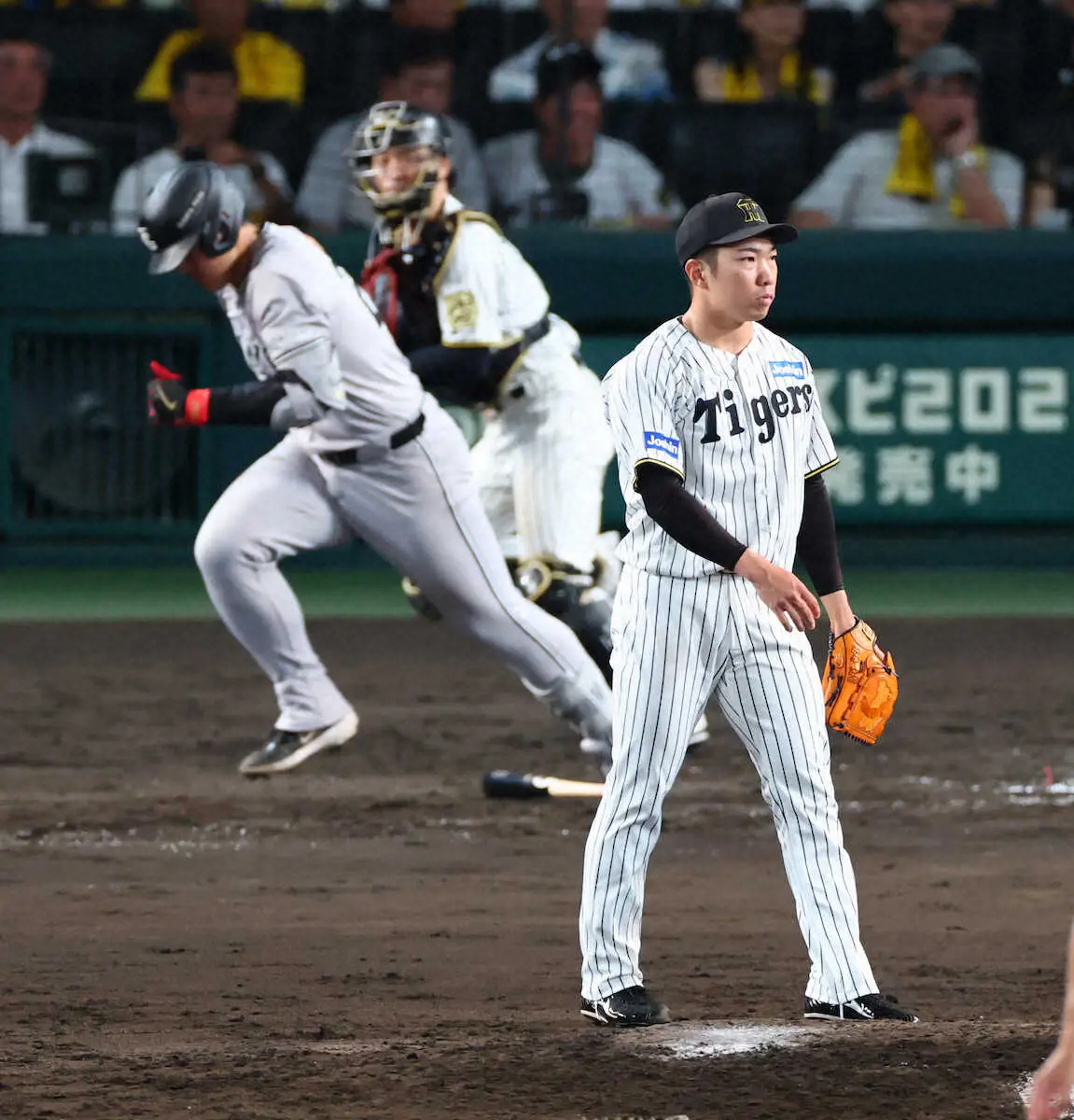 【画像・写真】能見篤史氏　明暗分けた阪神・石井大智の“力み”　来ないはずの「失投」で岡本を併殺斬りに