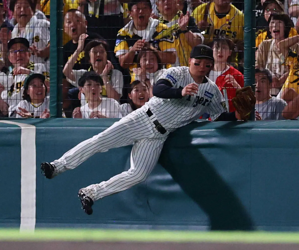 【画像・写真】阪神・森下翔太　絶妙ボディーバランスキャッチ、ラバーに身を預けながらフェンス際で捕球