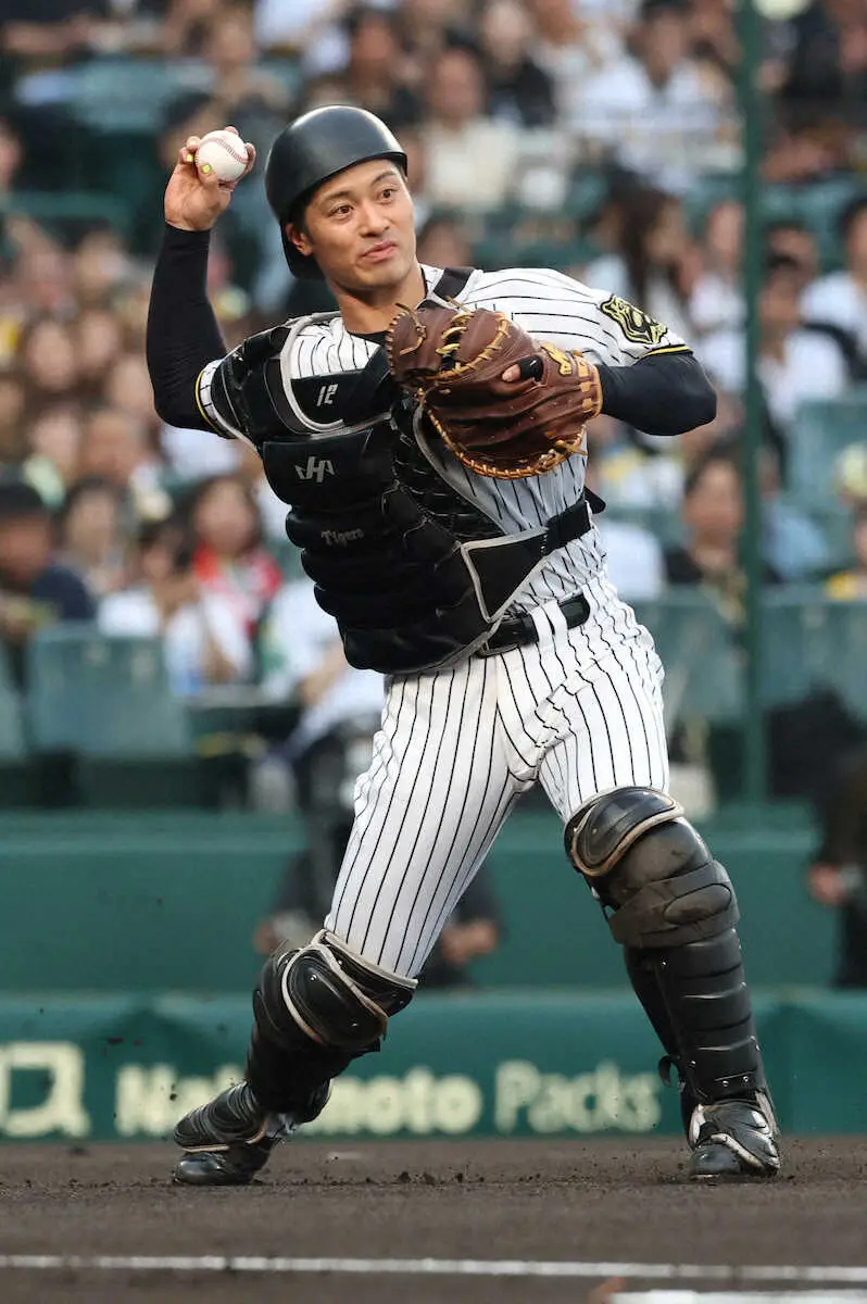 【画像・写真】【猛虎V選手ファイル⑥坂本】独走Vの陰の立て役者　玄人うならせる虎の司令塔