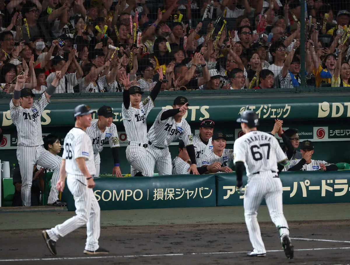 【画像・写真】優勝目前！甲子園の大声援がヤバいと話題「声援の音量おかしいやろw」「テレビ越しでもスゴい」