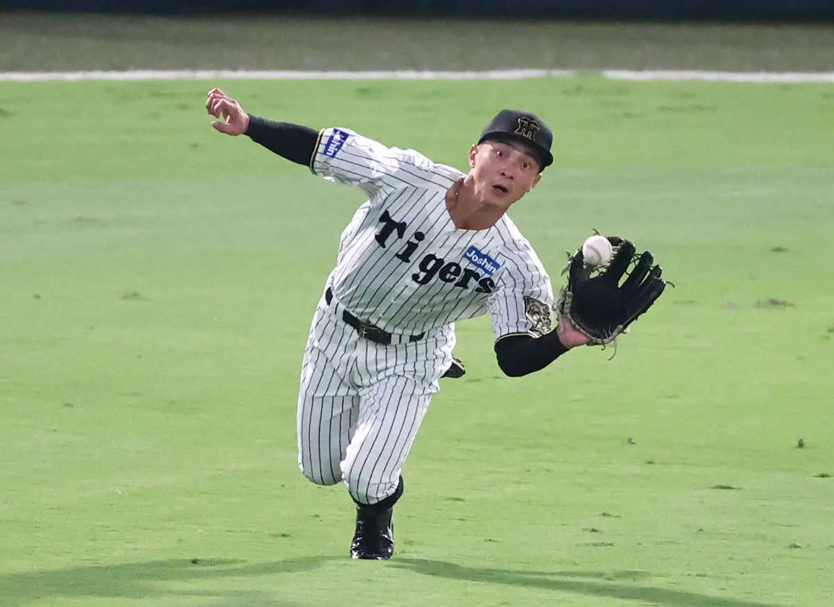 【画像・写真】＜神・広23＞7回、佐々木の打球をダイビングキャッチで好捕する熊谷（撮影・椎名　航）