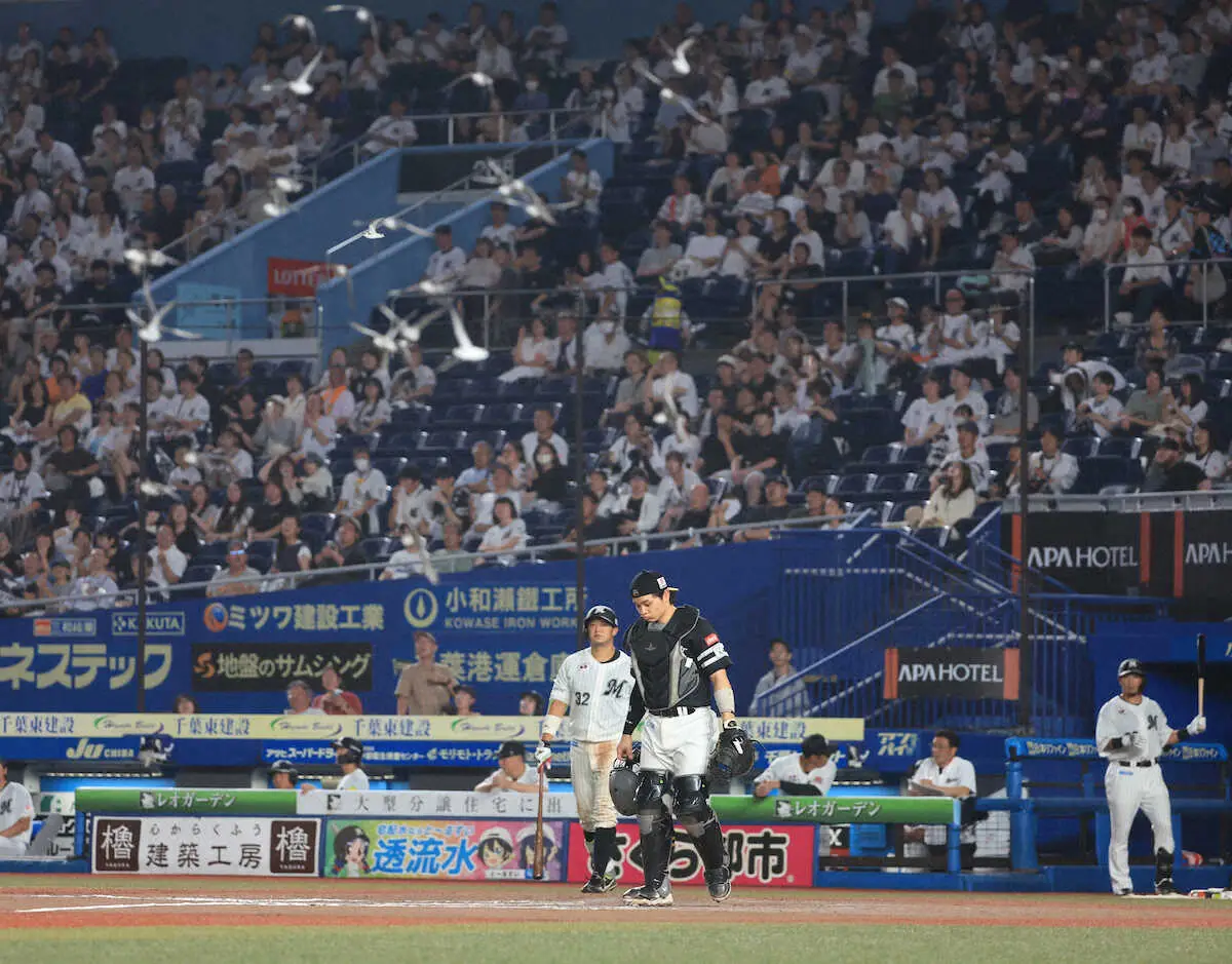 【画像・写真】マリン騒然！鳥の大群襲来で試合一時中断のハプニング　ネットに当たり落ちる鳥も…選手もビックリ