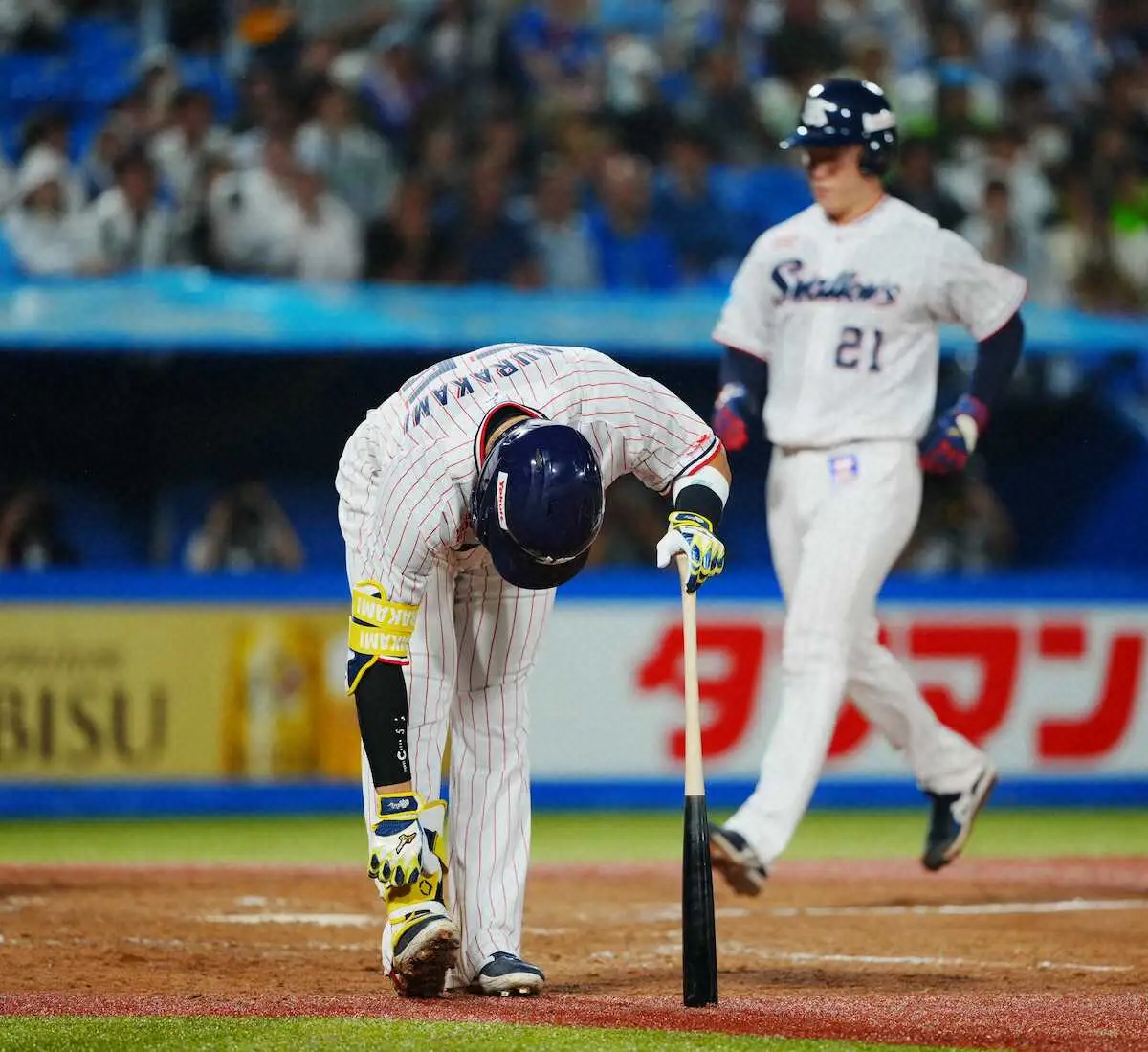 【画像・写真】ヤクルト・村上、2打席連続死球に神宮騒然！　8回、右肘にこの試合2死球目を受け投手にらむ