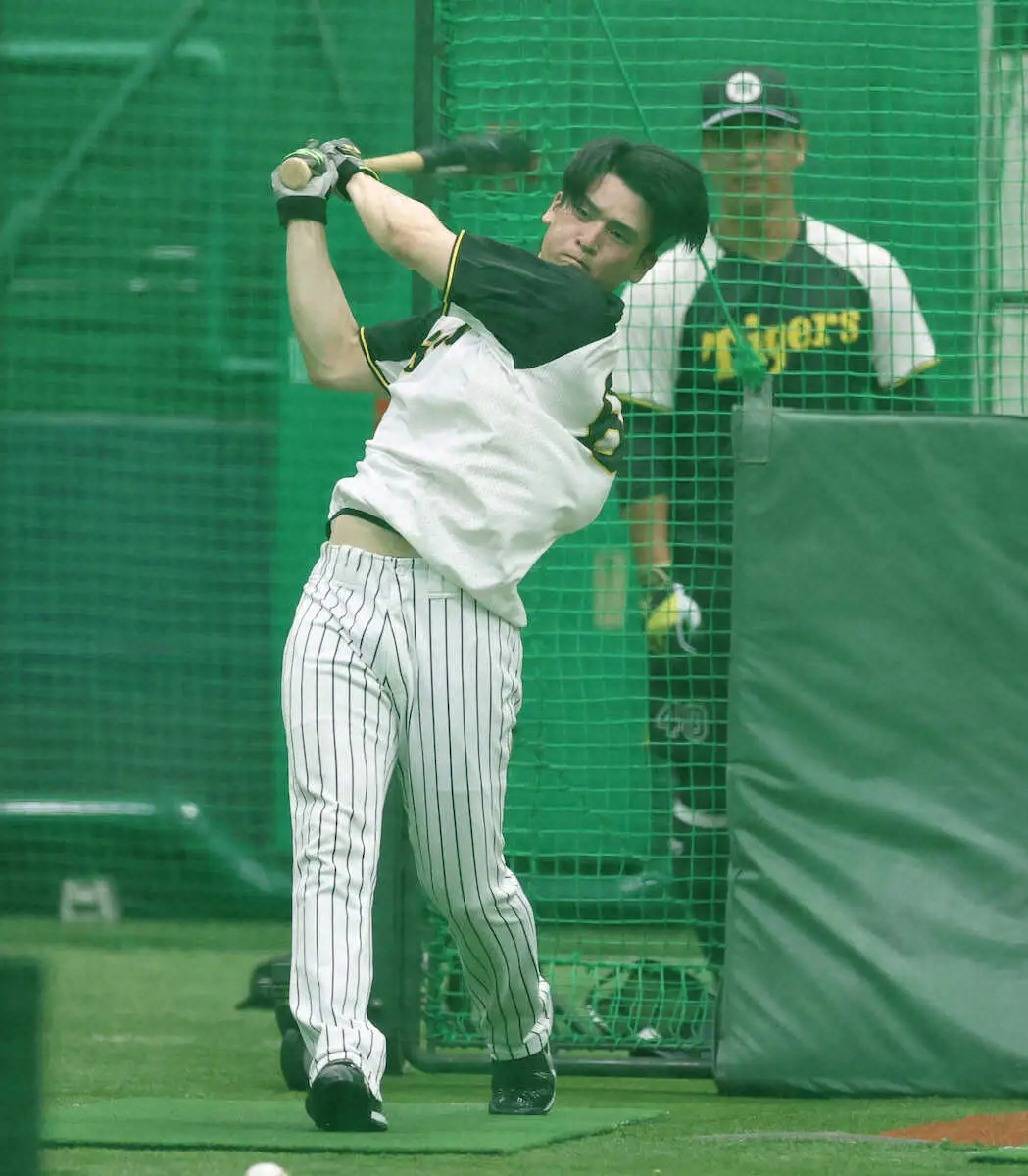 【画像・写真】室内練習場で打撃練習する阪神の高寺（撮影・大森　寛明）