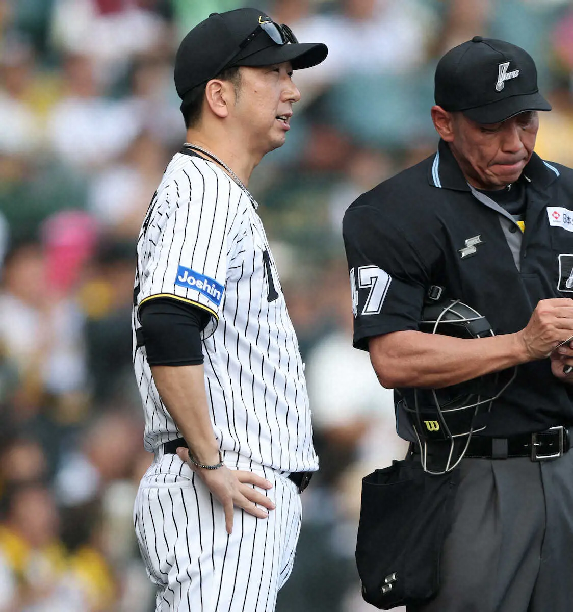 【画像・写真】【阪神・藤川監督語録】17日はマツダで最終戦「東京ドームの時のように、胸を張ってみんなで行きたい」