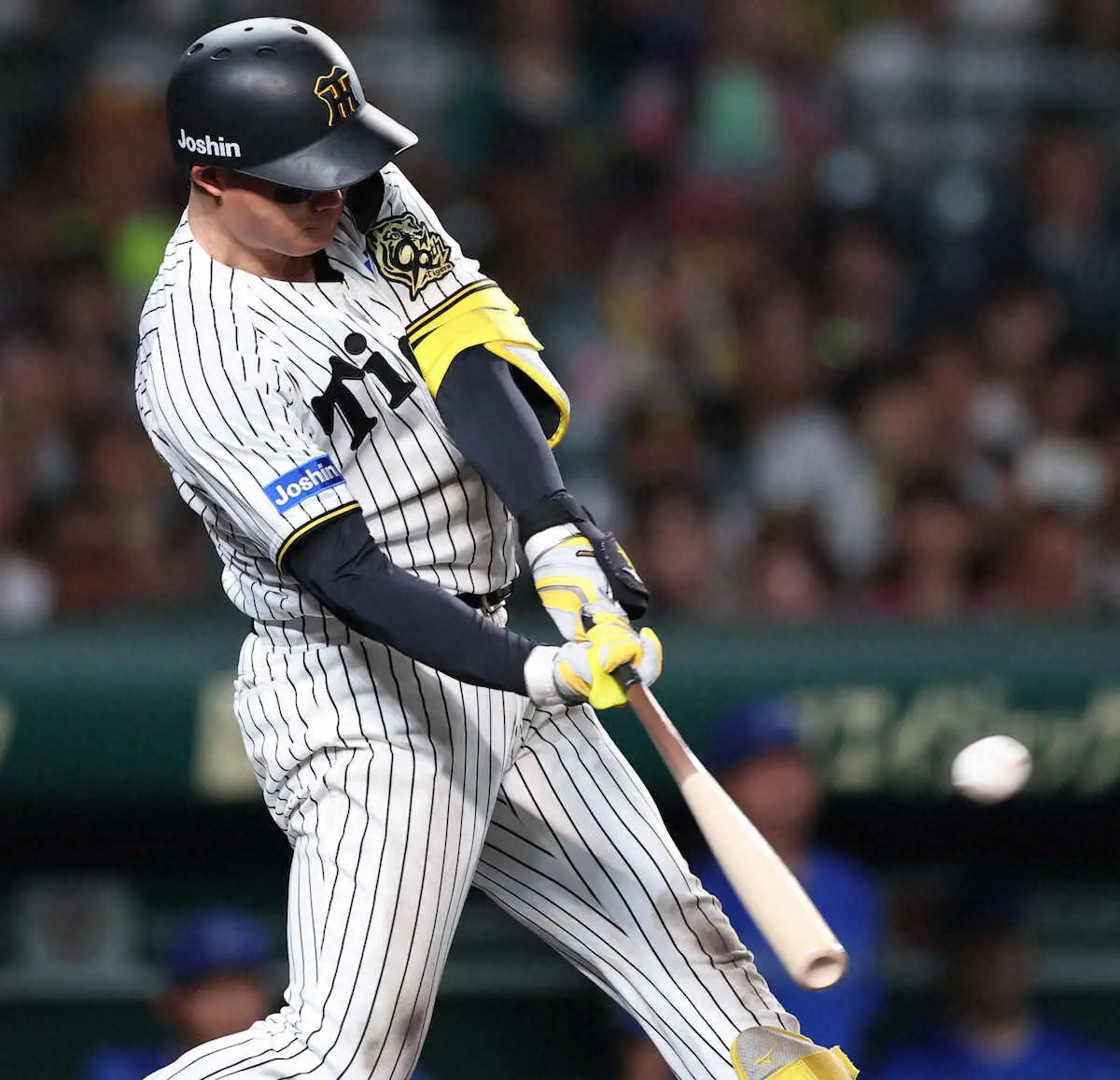 【画像・写真】阪神・森下翔太　2試合連発の23号ソロ！目標の「25本塁打」へ“マジック2”