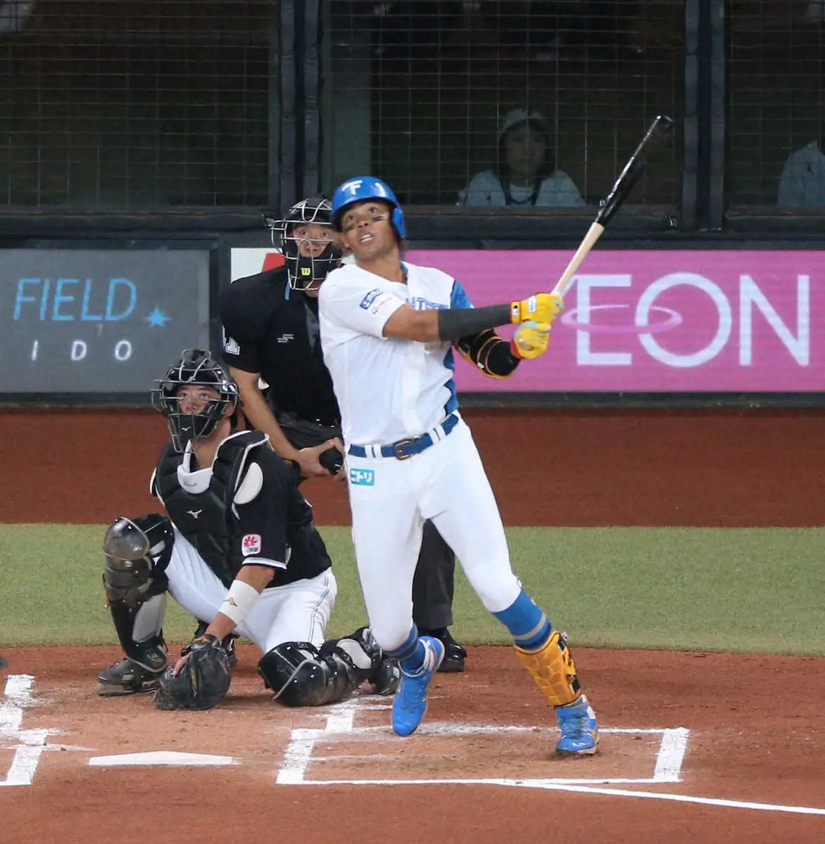 【画像・写真】日本ハム・水谷「パイナップルパンチ」V弾で貯金今季最多タイ26　連勝でソフトバンクと2・5ゲーム差！