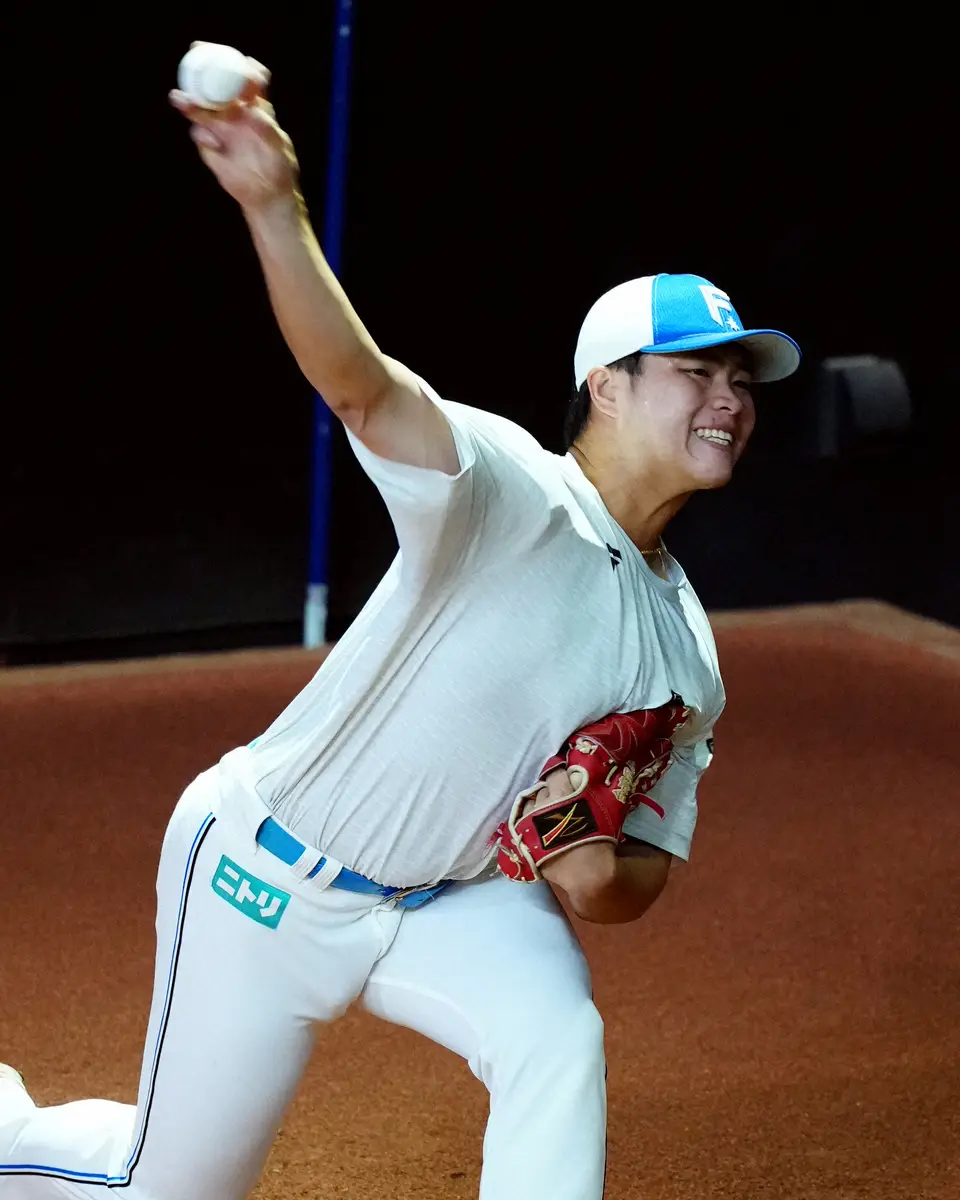 【画像・写真】【23日の公示】広島が6選手、中日が5選手を登録　阪神はハートウィグ、日本ハムは孫易磊を登録