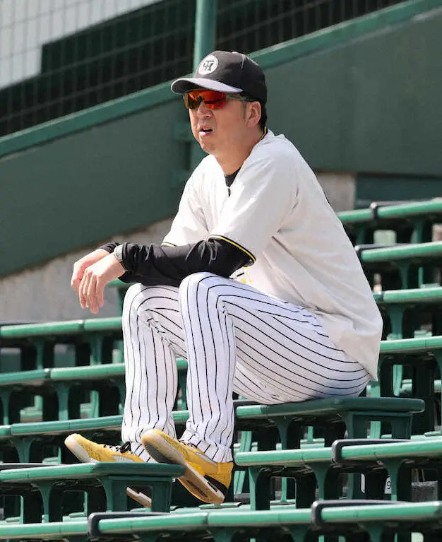 【画像・写真】＜阪神全体練習＞　スタンドから練習を見守る藤川監督（撮影・大森　寛明）