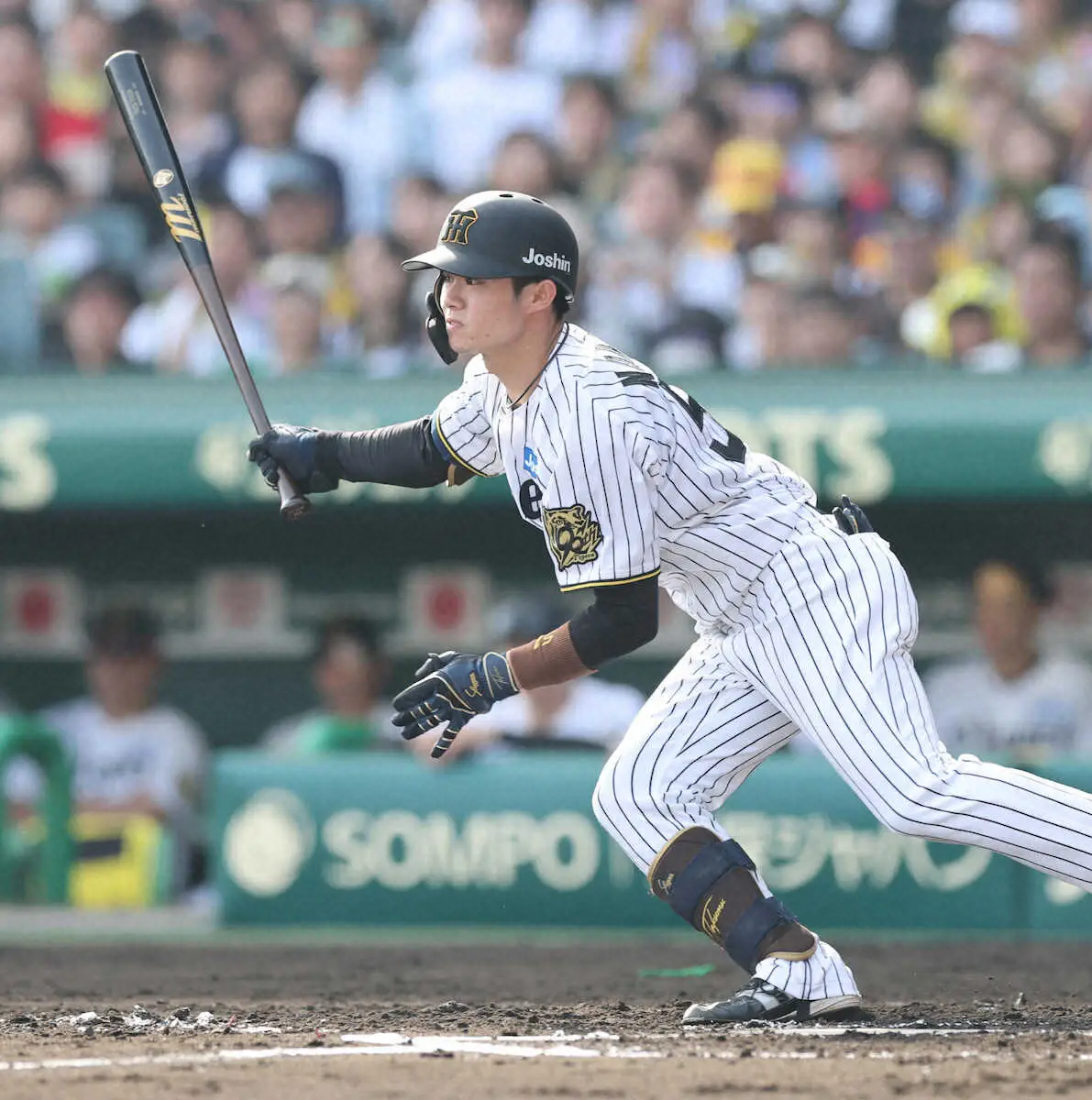 【画像・写真】阪神・中野