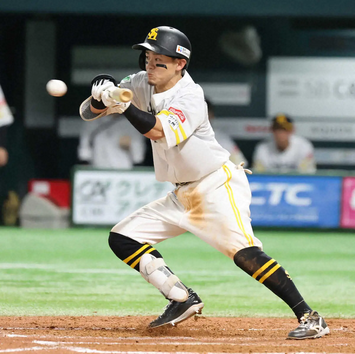 【画像・写真】ソフトバンク・牧原大成が育成初の首位打者“決定的”小久保監督「勝負あったと思う。おめでとう」