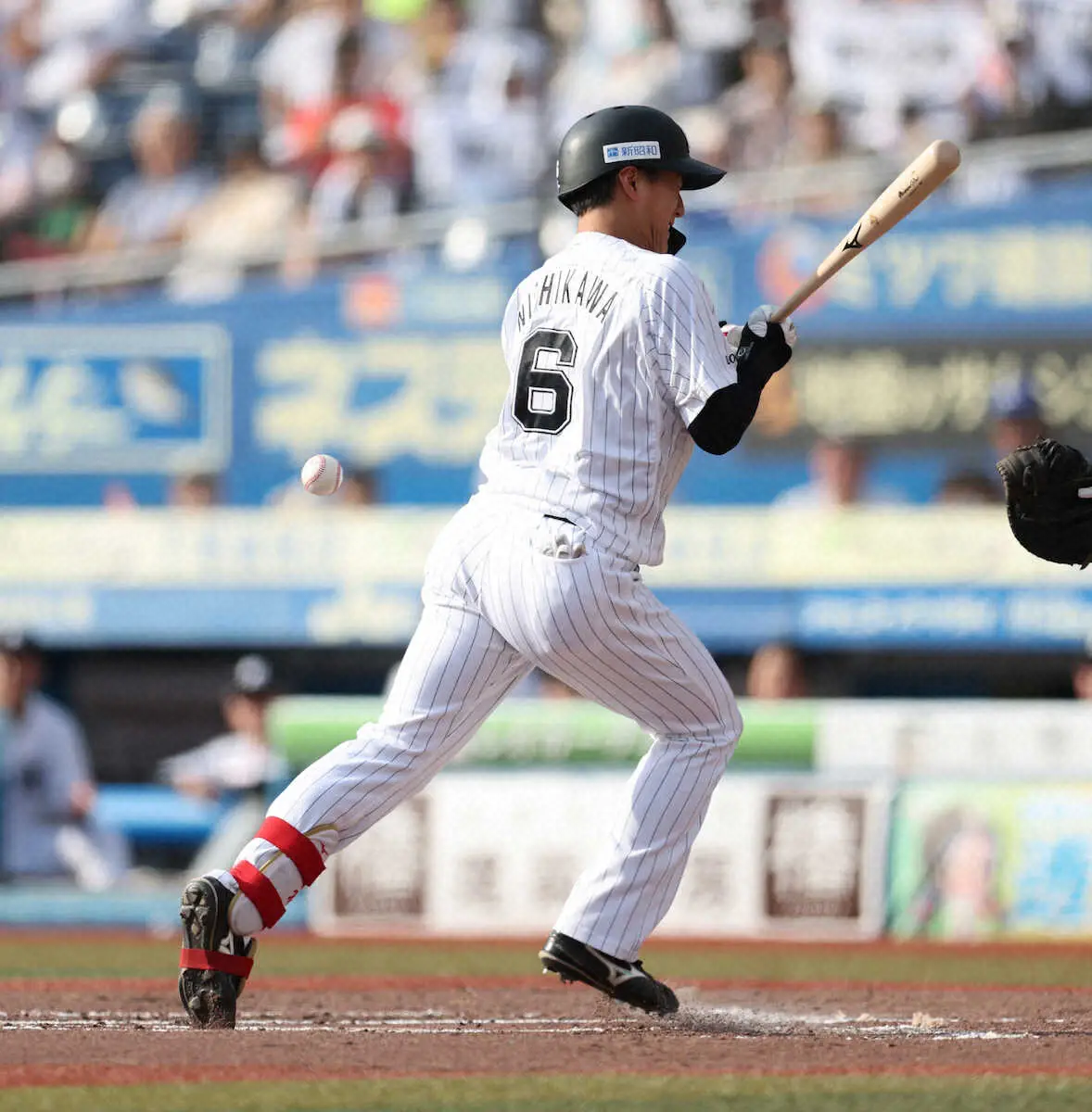 【画像・写真】ロッテ・西川史礁　リーグ新人王に前進の規定打席に到達！　節目の打席は「死球」