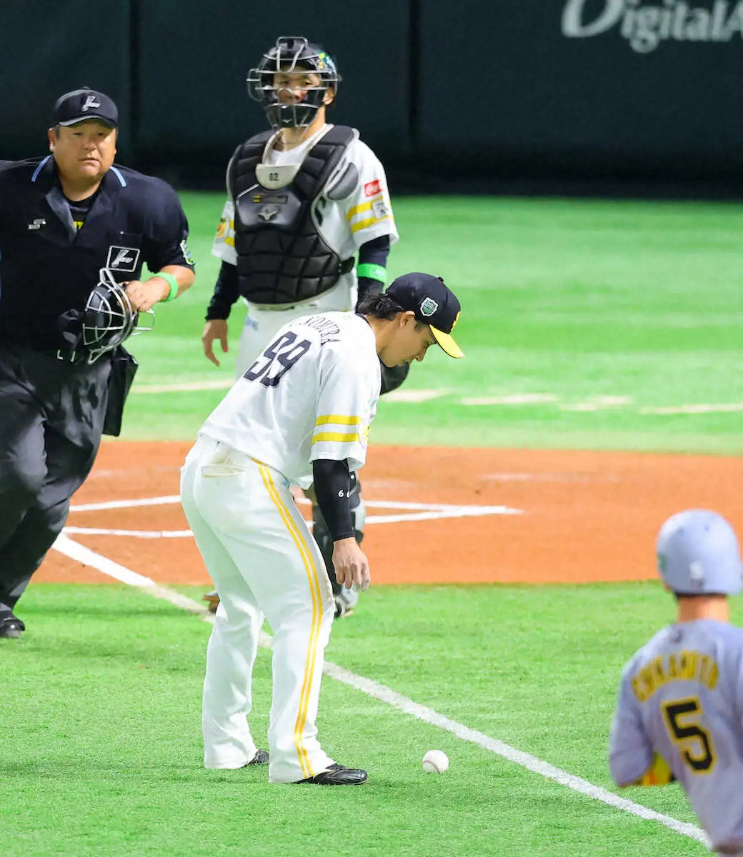 【画像・写真】白線の前で止まった！阪神・中野の「神バント」から逆転　近本二盗も効いた　自慢の1、2番が大仕事