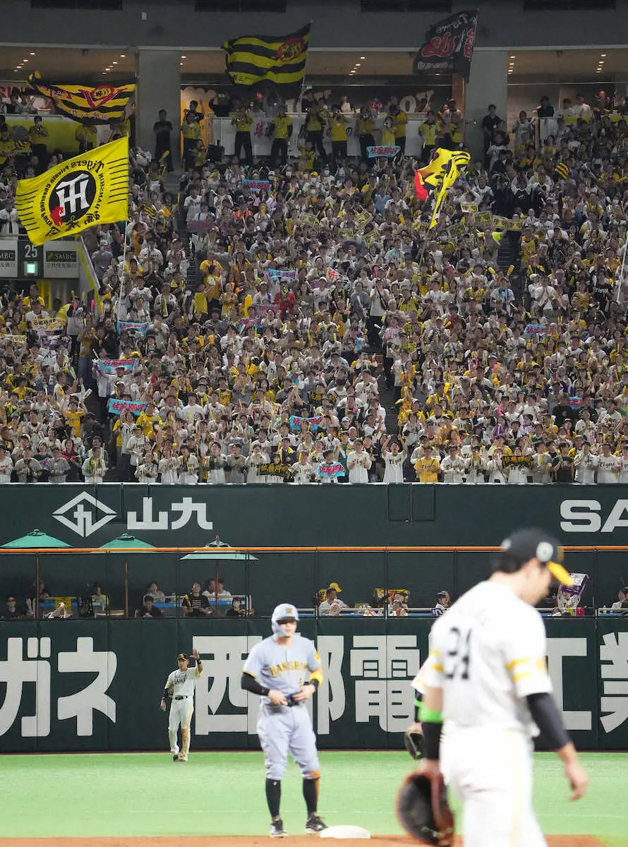 【画像・写真】＜ソ・神＞6回、佐藤輝の適時二塁打に盛り上がる阪神ファン（撮影・岡田　丈靖）