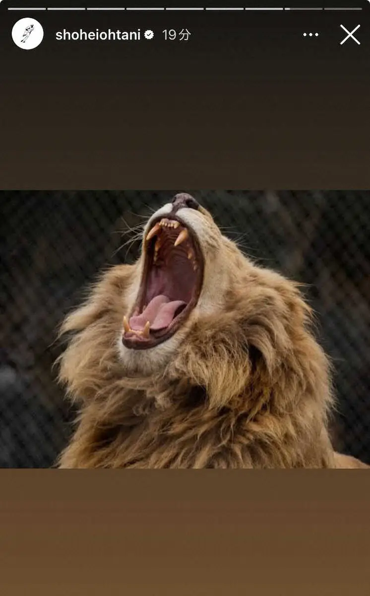 【画像・写真】大谷翔平　由伸が“世界一”SNS恒例のいじり写真披露　赤ちゃんライオン→百獣の王に成長　認めている証