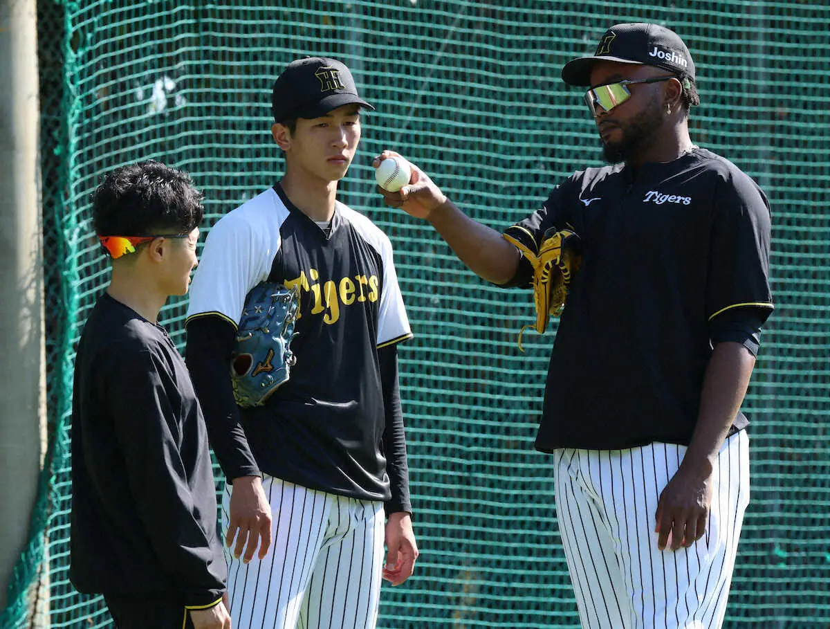 【画像・写真】阪神・ドリス　秋季Cで若虎に熱血指導　弟子入り志願の今朝丸裕喜「磨いていこうかな」フォークに手応え