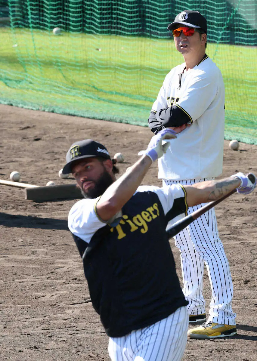 【画像・写真】阪神・藤川球児監督が秘蔵助っ人を上位打線に指名「打順を前に持ってきてほしい。肩も強くて足が速い」
