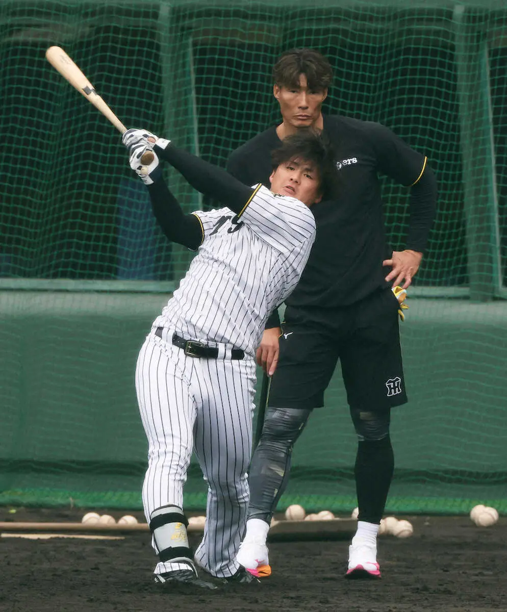 【画像・写真】阪神・糸井嘉男臨時コーチ　前川右京にカツ「あの成績じゃアカン」　身振り手振りで内角打ち指導