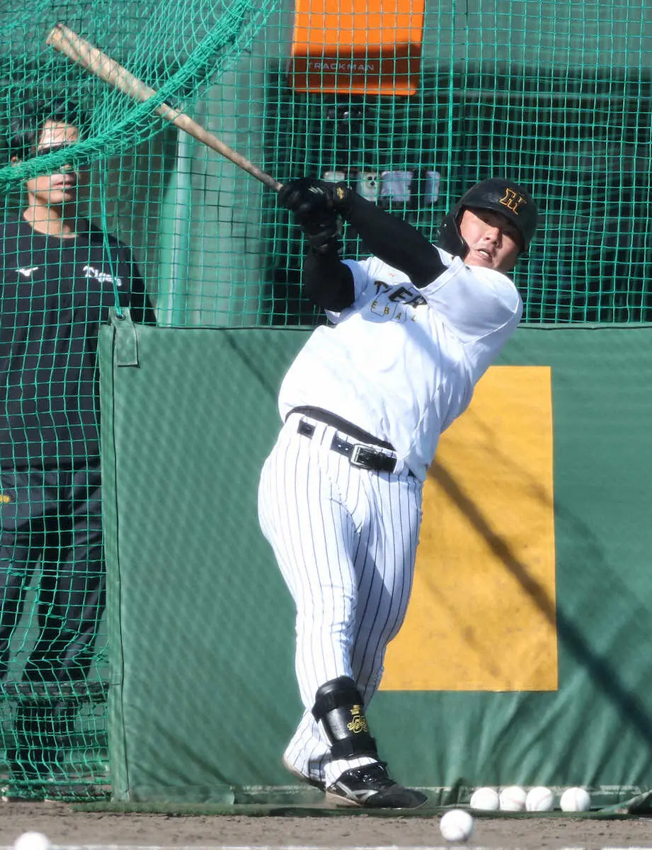 【画像・写真】阪神・前川右京　“糸井打法”に手応えのノーヒット「結果は良くなかったけど、内容は良かった」