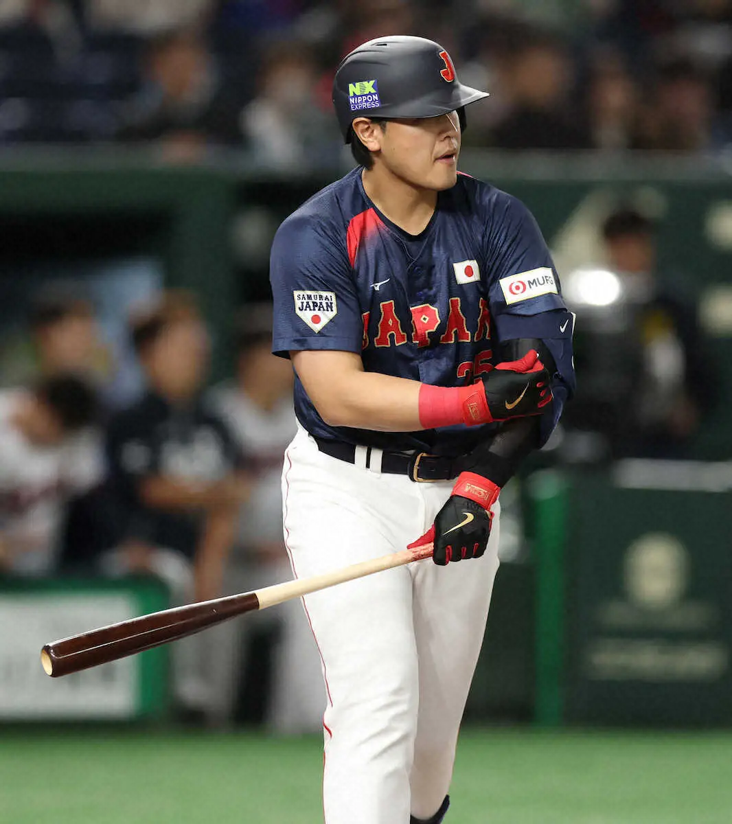 【画像・写真】【侍ジャパン】岡本　先発外れるも8回代打で四球「楽しかった」バックネット裏にはMLBスカウトも集結