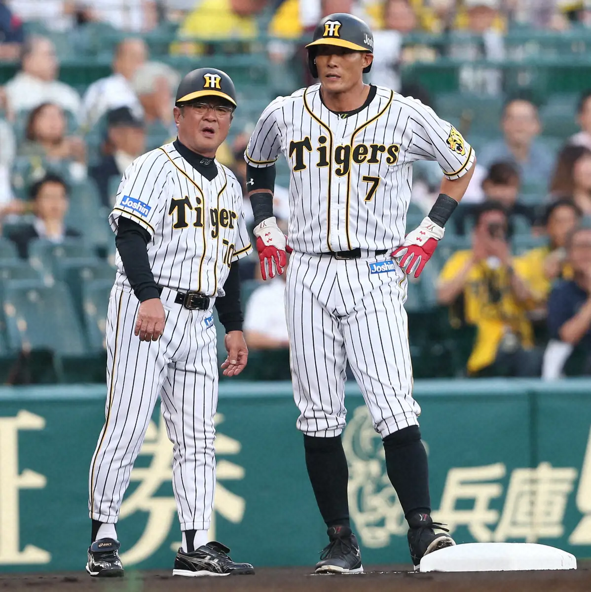 【画像・写真】死去の高代延博さん　WBCで“倒れ込んで”糸井を制した伝説場面　野球ファンが懐かしみつつ追悼