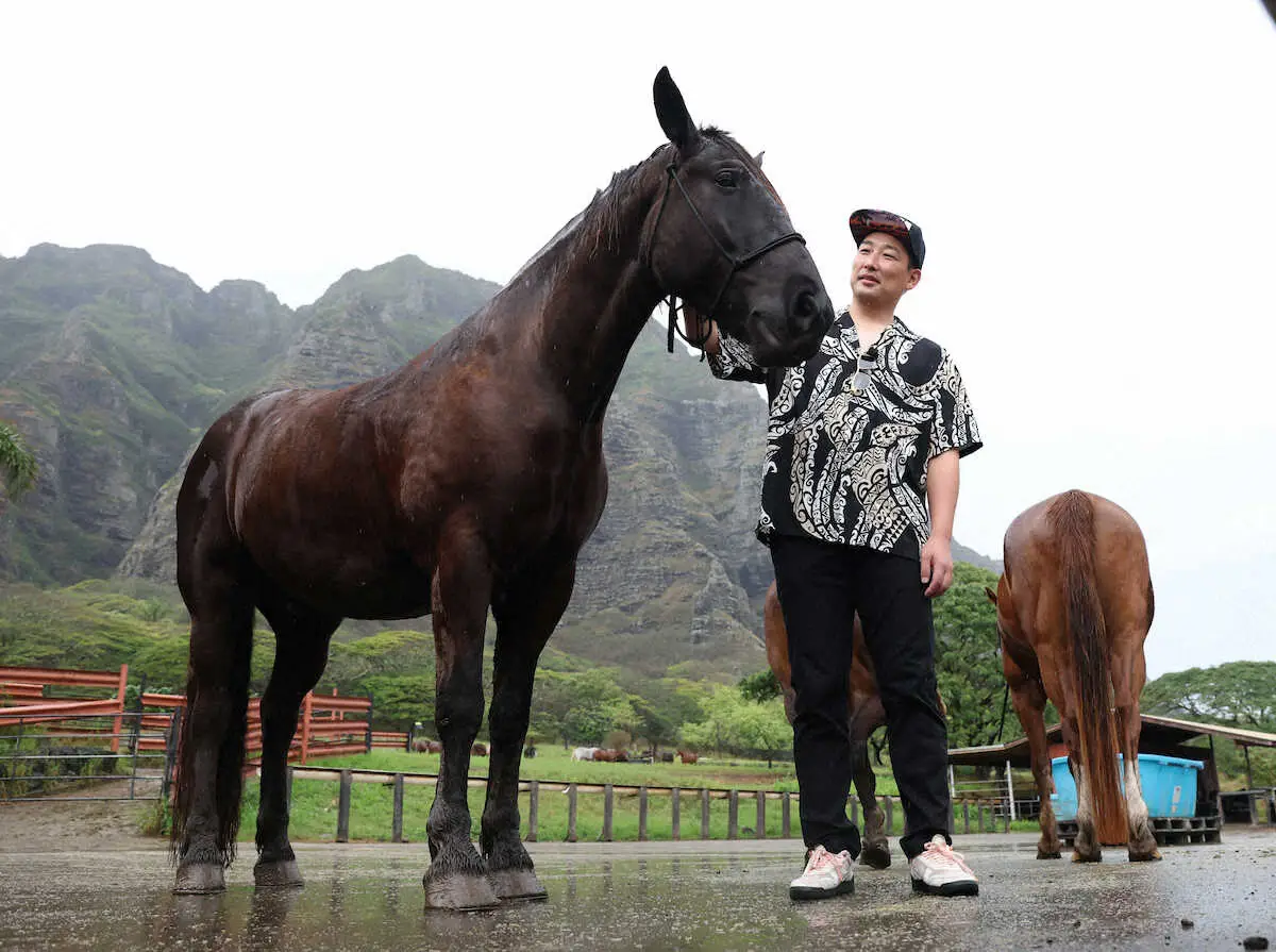 【画像・写真】阪神・岩崎優が“縦読み”でファンに粋な新年あいさつ　プロ13年目に臨む決意を午年にかけて