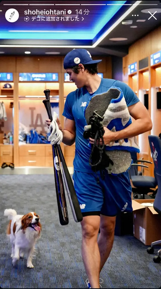 【画像・写真】「可愛すぎる」大谷翔平が愛犬デコピンと自主トレ！ドジャスタ走る姿「贅沢すぎる」「デコピンになりたい」