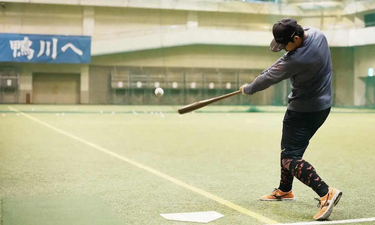 【画像・写真】ロッテ・佐藤が自主トレ公開　自然豊かな鴨川市で「昭和な生活」