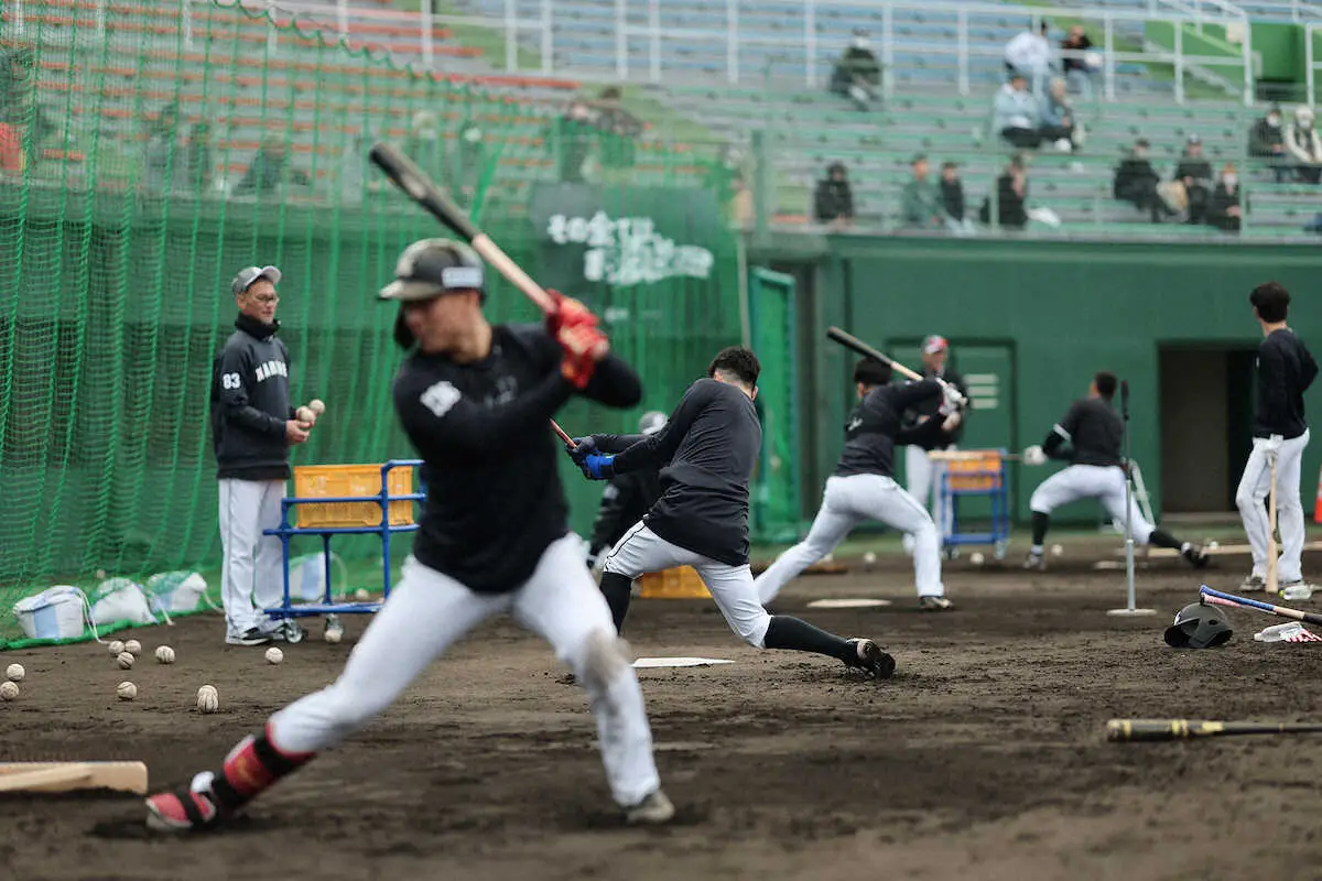 【画像・写真】ロッテ　春季キャンプ＆対外試合を「日テレNEWS24」などで生中継