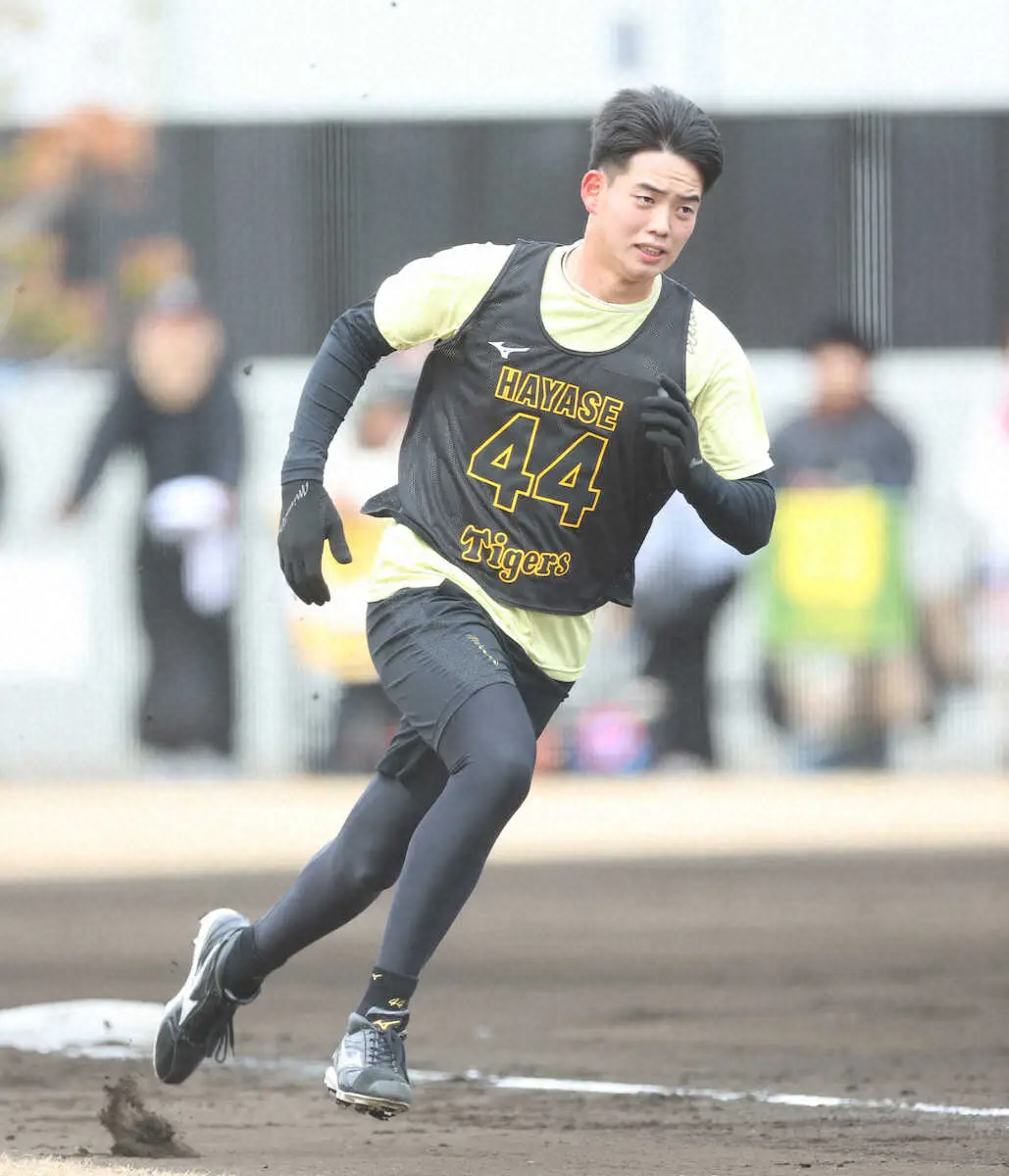 【画像・写真】阪神ドラ4・早瀬朔　球界のパンダになる！？シャオシャオ、レイレイロスの日本を「さくさく」が盛り上げる