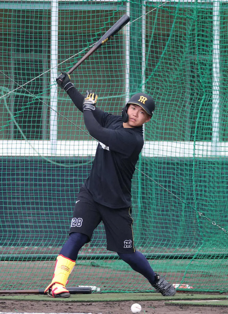 【画像・写真】阪神・嶋村麟士朗　宜野座合同自主トレ初日最多タイ6発！「ちょっとつかめた」支配下契約へパワーアピール