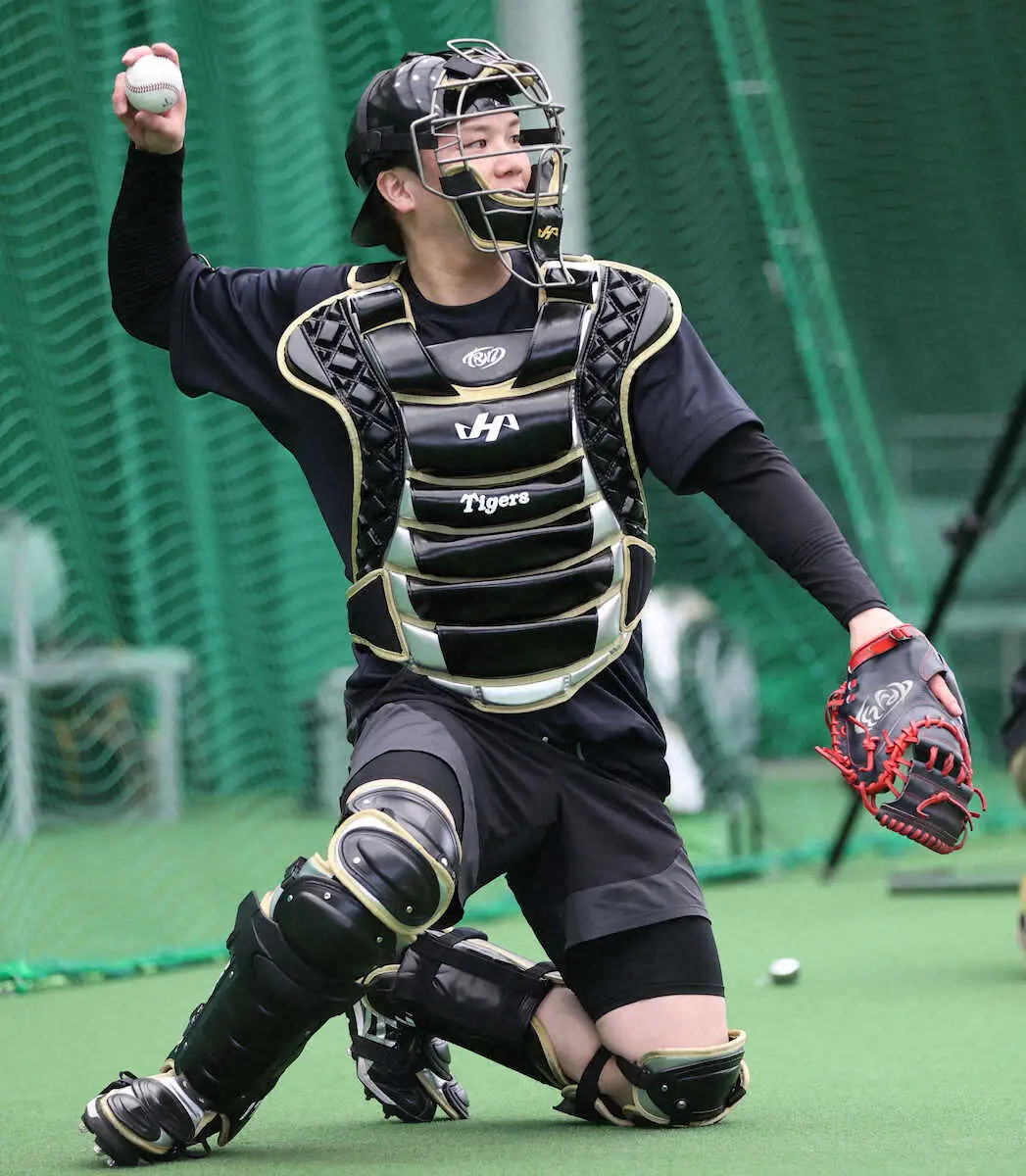 【画像・写真】阪神・伏見寅威が着々と猛虎仕様　黒地にゴールドの防具初着用で投手陣の球受けた