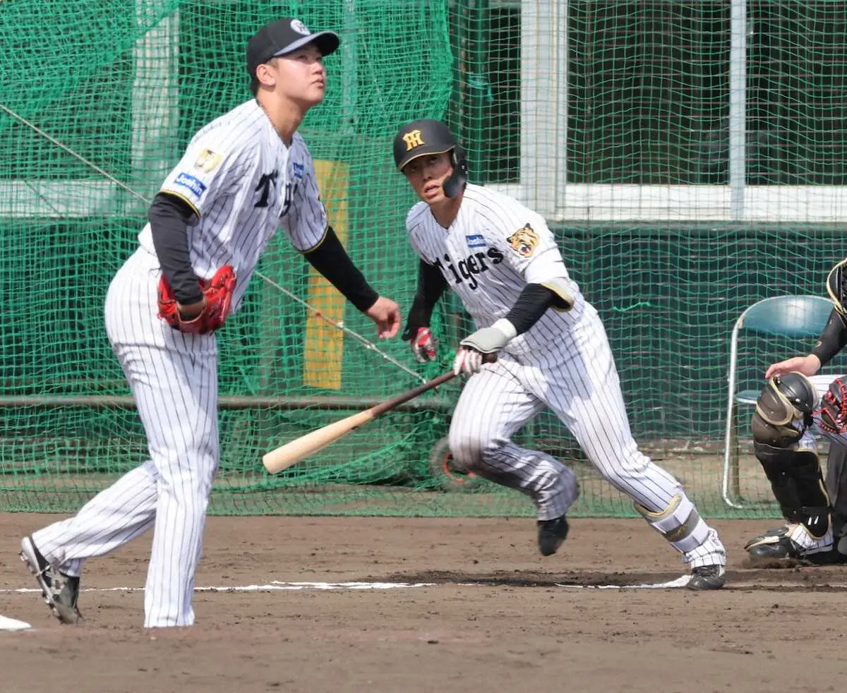 【画像・写真】出たぞ！阪神、今キャンプ初シート打撃でドラ2谷端将伍が初打席初安打　門別から左前打