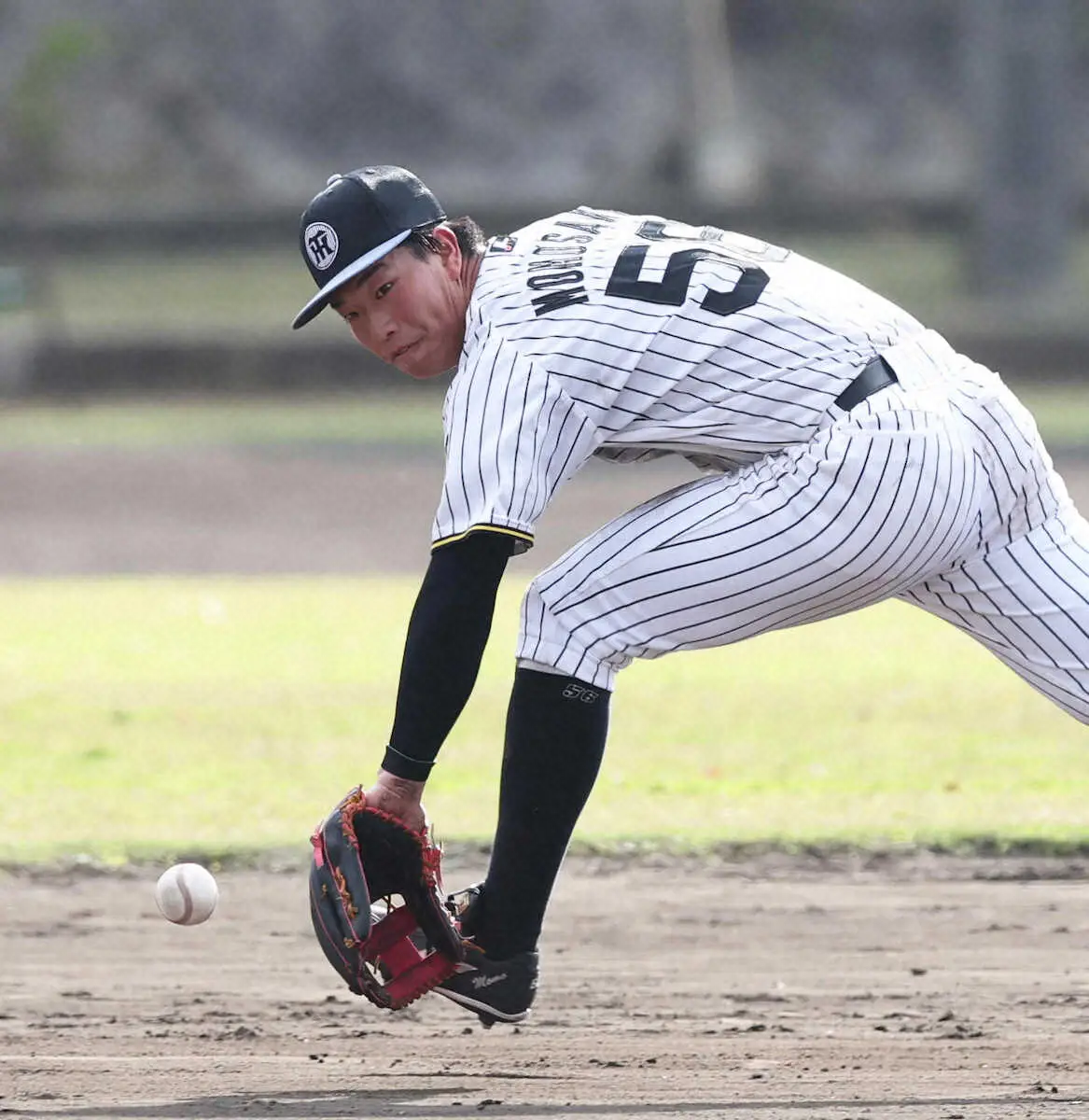 【画像・写真】阪神・百崎蒼生　フリー打撃で糸井SAから指導受けた　「“いいじゃない”と言ってもらえた」