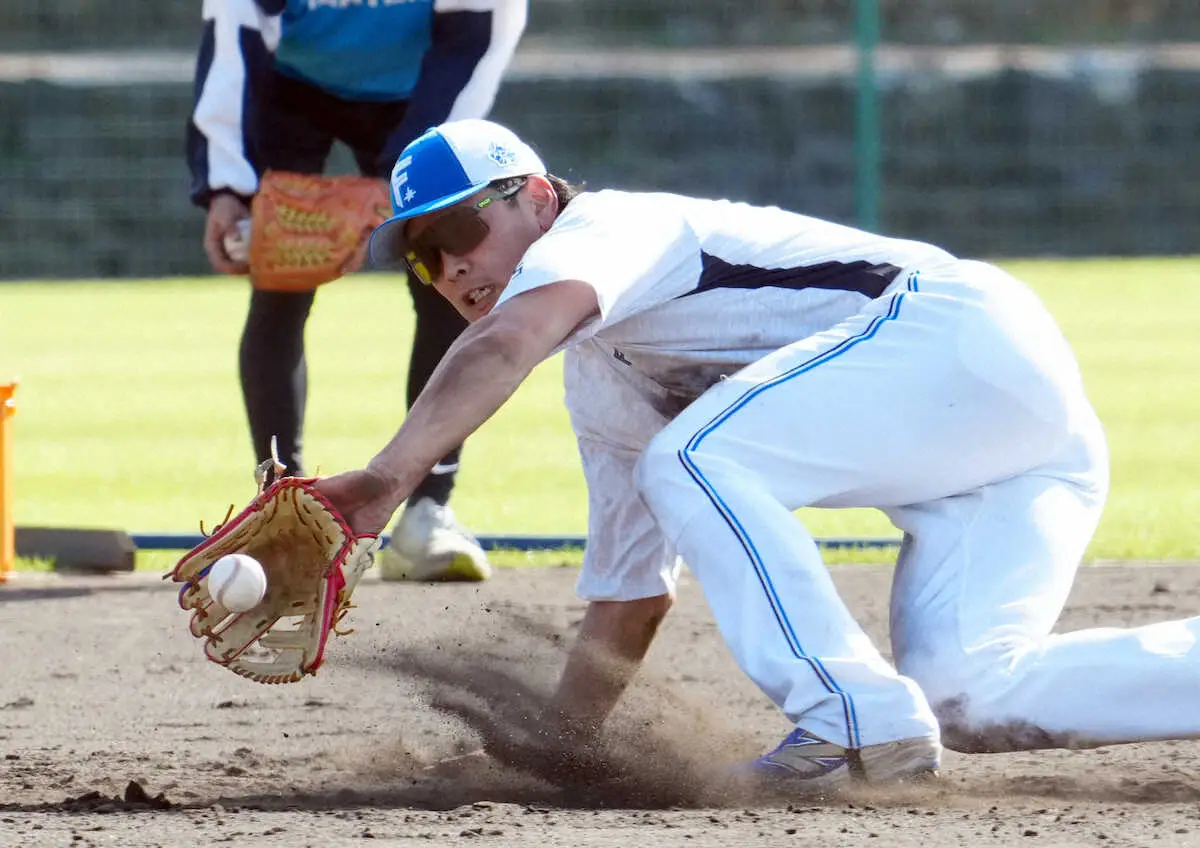 【画像・写真】日本ハム・野村佑希　新庄剛志監督が見守る前で早朝特守　今キャンプで二塁に本格挑戦