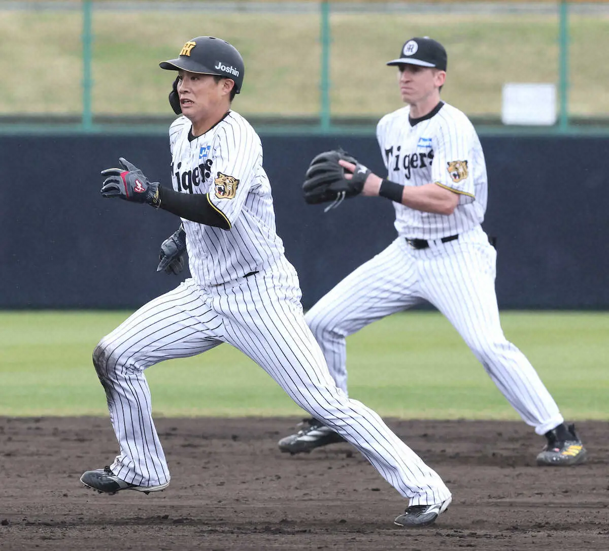 【画像・写真】【内田雅也の追球】日米の違いと共通点