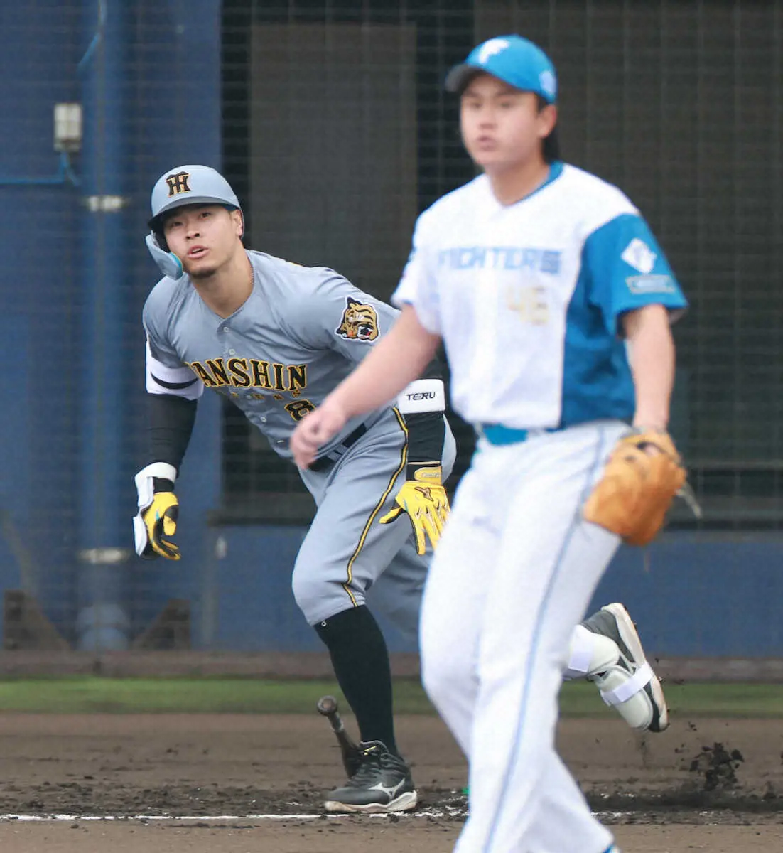 【画像・写真】阪神WBCコンビ・佐藤輝明＆森下翔太　無安打も好感触　新庄監督「森下くんはいいバッティング」